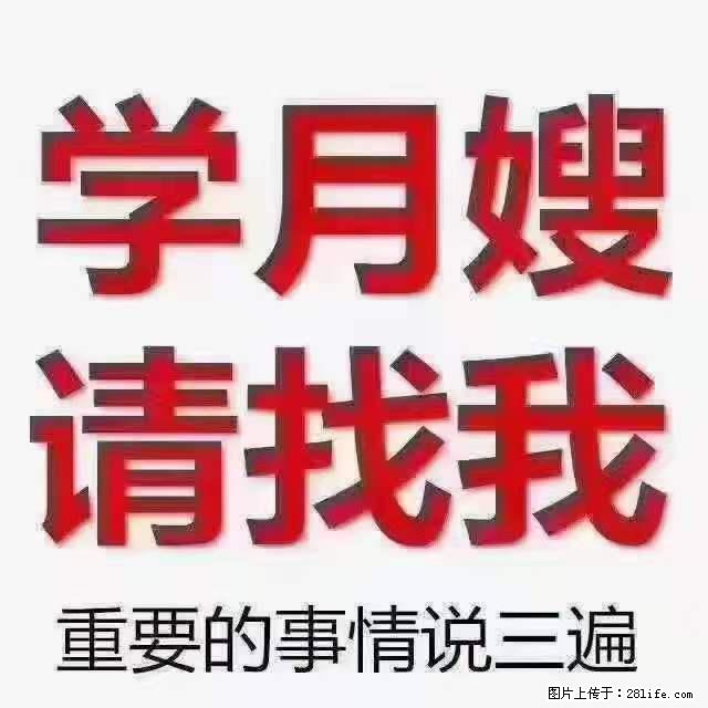 为什么要学习月嫂，育婴师？ - 新手上路 - 抚顺生活社区 - 抚顺28生活网 fushun.28life.net