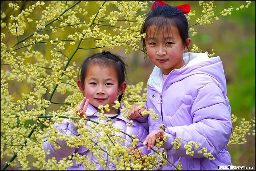 【春天，广西桂林灌阳县向您发出邀请！】米珠山前有片山苍子花在飘香 - 游山玩水 - 抚顺生活社区 - 抚顺28生活网 fushun.28life.net