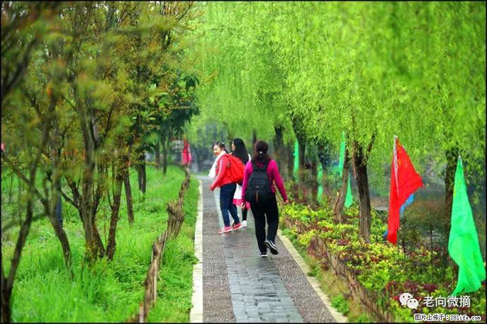 【春天，广西桂林灌阳县向您发出邀请！】江口老街又逢春 - 游山玩水 - 抚顺生活社区 - 抚顺28生活网 fushun.28life.net