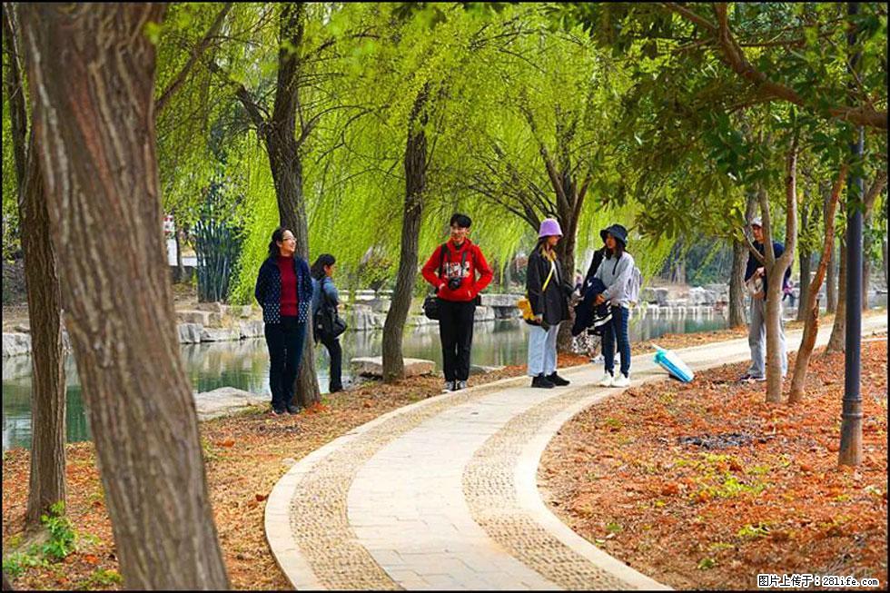 【春天，广西桂林灌阳县向您发出邀请！】江口老街又逢春 - 游山玩水 - 抚顺生活社区 - 抚顺28生活网 fushun.28life.net