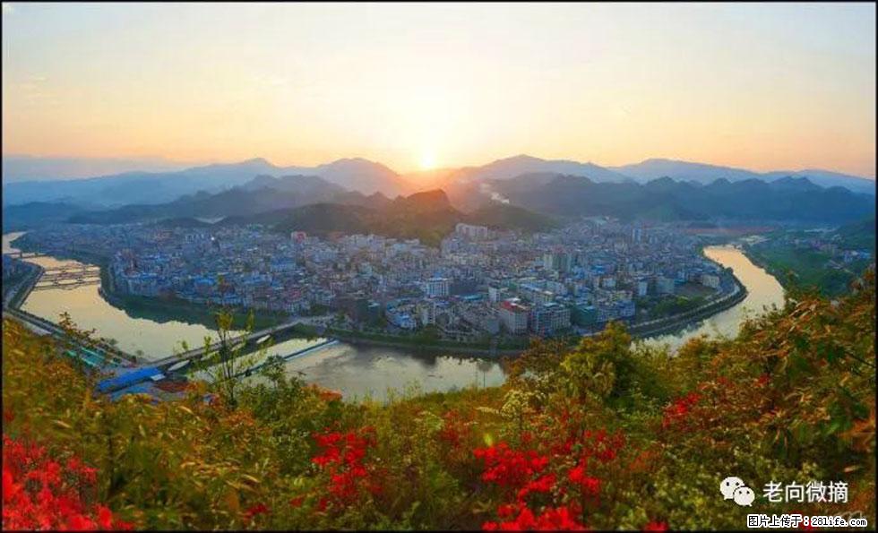 【春天，广西桂林灌阳县向您发出邀请！】登麒麟山，相约映山红 - 游山玩水 - 抚顺生活社区 - 抚顺28生活网 fushun.28life.net