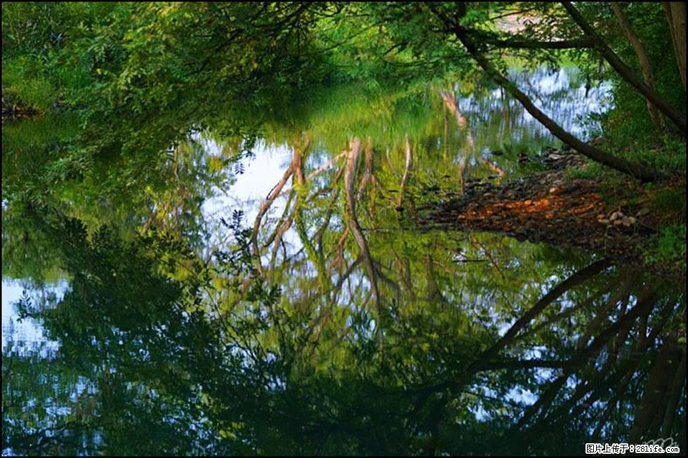 【春天，广西桂林灌阳县向您发出邀请！】熊家寨湿地公园 - 游山玩水 - 抚顺生活社区 - 抚顺28生活网 fushun.28life.net