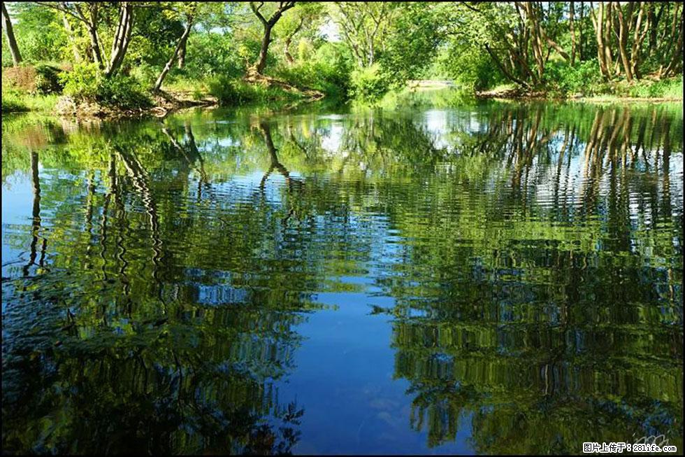 【春天，广西桂林灌阳县向您发出邀请！】熊家寨湿地公园 - 游山玩水 - 抚顺生活社区 - 抚顺28生活网 fushun.28life.net