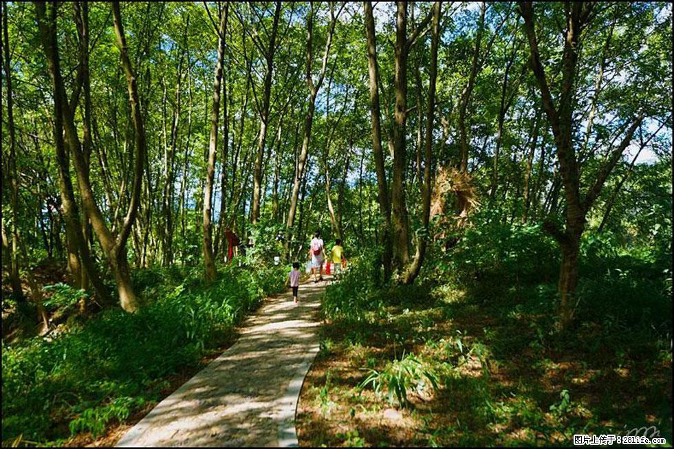 【春天，广西桂林灌阳县向您发出邀请！】熊家寨湿地公园 - 游山玩水 - 抚顺生活社区 - 抚顺28生活网 fushun.28life.net