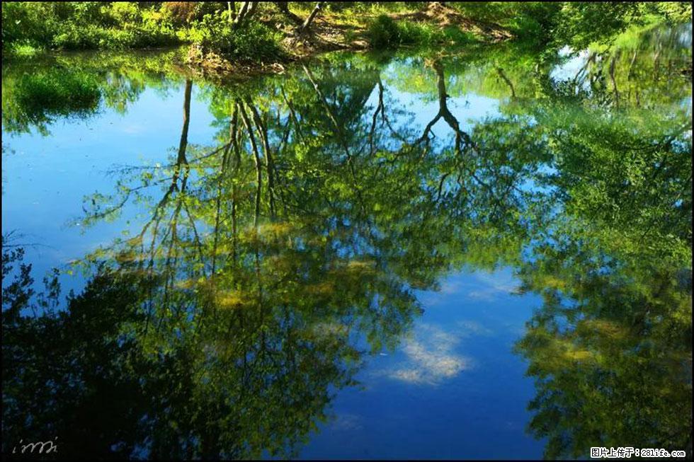 【春天，广西桂林灌阳县向您发出邀请！】熊家寨湿地公园 - 游山玩水 - 抚顺生活社区 - 抚顺28生活网 fushun.28life.net