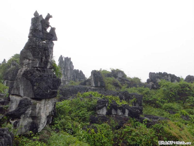 桂林旅游名城景点：灌阳文市石林 - 游山玩水 - 抚顺生活社区 - 抚顺28生活网 fushun.28life.net