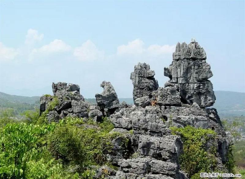 桂林旅游名城景点：灌阳文市石林 - 游山玩水 - 抚顺生活社区 - 抚顺28生活网 fushun.28life.net