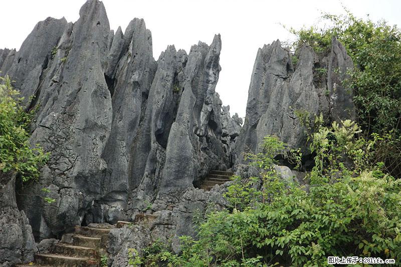 桂林旅游名城景点：灌阳文市石林 - 游山玩水 - 抚顺生活社区 - 抚顺28生活网 fushun.28life.net