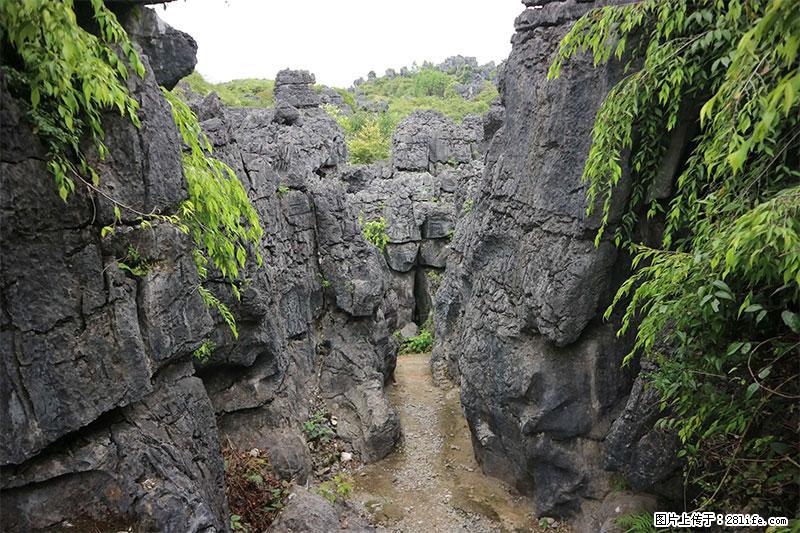 桂林旅游名城景点：灌阳文市石林 - 游山玩水 - 抚顺生活社区 - 抚顺28生活网 fushun.28life.net
