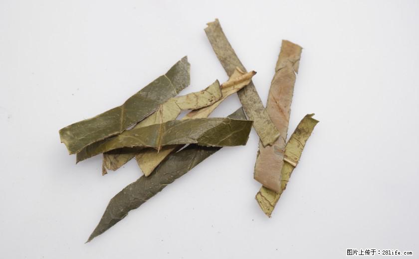 苦丁茶有哪些功效和作用 - 生活百科 - 抚顺生活社区 - 抚顺28生活网 fushun.28life.net