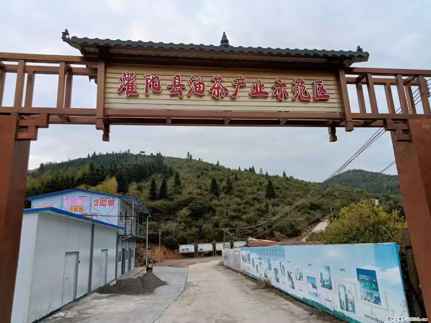 【灌阳县油茶产业示范区】一个有着充实的精神生活的人，对待身外之物自会有一种淡泊的态度 - 美食天地 - 抚顺生活社区 - 抚顺28生活网 fushun.28life.net