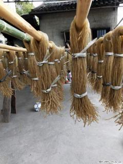 【灌阳正宗红薯粉】美女家里自己做的，干净卫生，假一赔十，价格合理，抢购电话：13737312895 - 抚顺28生活网 fushun.28life.net