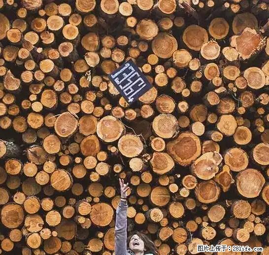 辞掉工作周游世界？现在他们在洗厕所…… - 游山玩水 - 抚顺生活社区 - 抚顺28生活网 fushun.28life.net