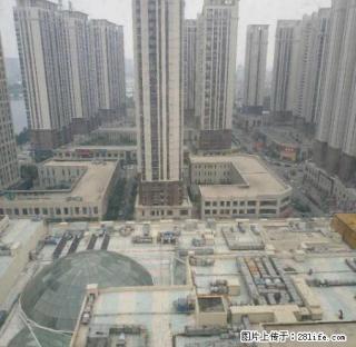 万达B1公寓出租255平方米，清水，4间相连 - 抚顺28生活网 fushun.28life.net