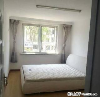 13方块精装修63平1200元2楼 - 抚顺28生活网 fushun.28life.net
