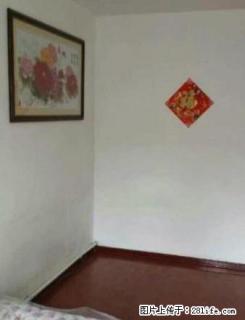 河东市场绿州附近两室一厅 - 抚顺28生活网 fushun.28life.net