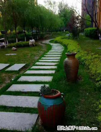 阳光丽景二期71平四楼出租，简单装修 - 房屋出租 - 房屋租售 - 抚顺分类信息 - 抚顺28生活网 fushun.28life.net
