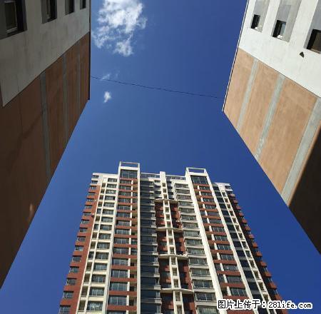 国际鑫城70平出租家具家电全带每月800元 - 房屋出租 - 房屋租售 - 抚顺分类信息 - 抚顺28生活网 fushun.28life.net