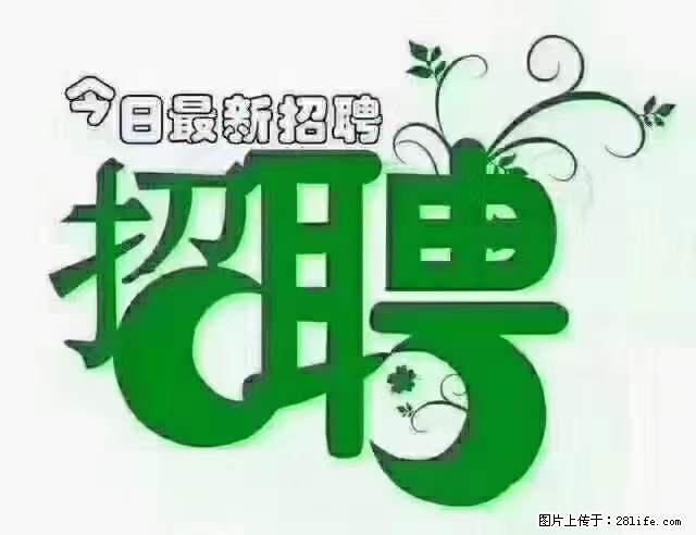 【招聘摄像师】待遇：试用期6000元/月，转正7000元/月+五险一金+餐补+节日福利+奖金 - 其他招聘信息 - 招聘求职 - 抚顺分类信息 - 抚顺28生活网 fushun.28life.net