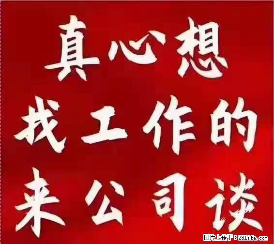 【上海】国企，医院招两名男保安，55岁以下，身高1.7米以上，无犯罪记录不良嗜好 - 职场交流 - 抚顺生活社区 - 抚顺28生活网 fushun.28life.net