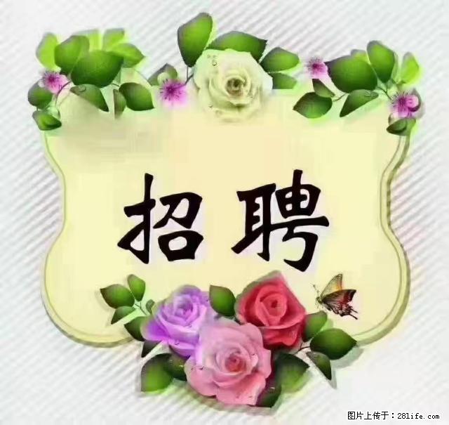 【招聘】住家育儿嫂，上户日期：4月4日，工作地址：上海 黄浦区 - 职场交流 - 抚顺生活社区 - 抚顺28生活网 fushun.28life.net