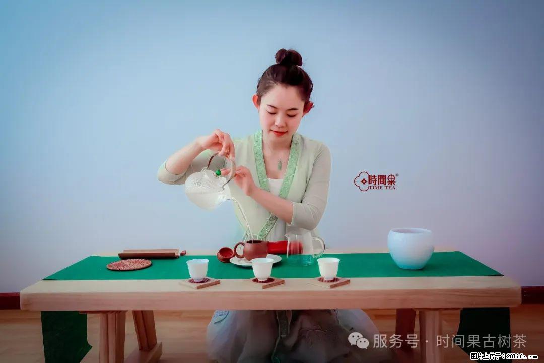 时间果百年古树龙珠普洱生茶 - 购物交流 - 抚顺生活社区 - 抚顺28生活网 fushun.28life.net