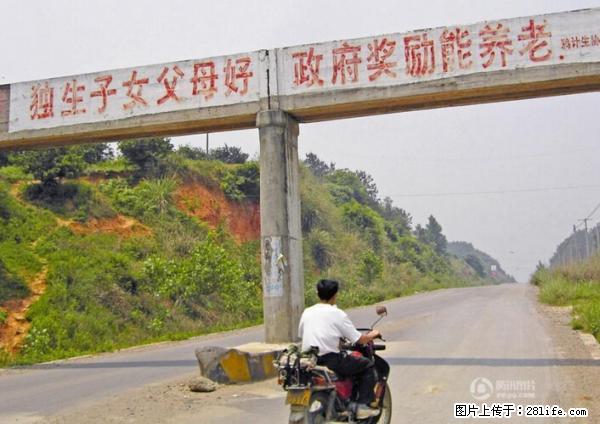 全面两孩政策计划明年元旦起实施 夫妻可延长生育假 - 抚顺生活资讯 - 抚顺28生活网 fushun.28life.net