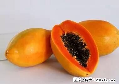 晕车、脚气、牙齿变黄、皮肤粗糙？学会这些三分钟搞定！ - 抚顺生活资讯 - 抚顺28生活网 fushun.28life.net