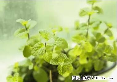 晕车、脚气、牙齿变黄、皮肤粗糙？学会这些三分钟搞定！ - 抚顺生活资讯 - 抚顺28生活网 fushun.28life.net