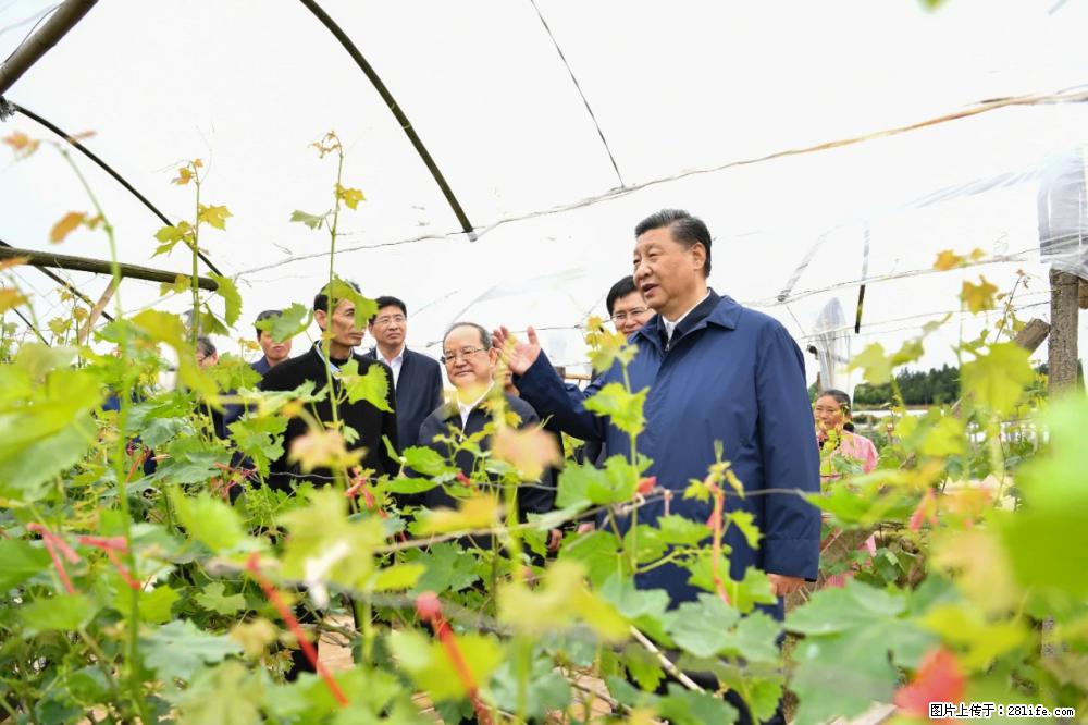 习近平赴广西考察调研 - 抚顺生活资讯 - 抚顺28生活网 fushun.28life.net