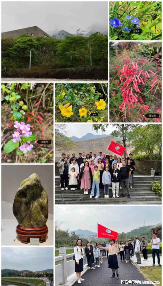 “粤灌文化 美好生活”油茶文化主题活动在广东深圳成功举办 - 抚顺生活资讯 - 抚顺28生活网 fushun.28life.net