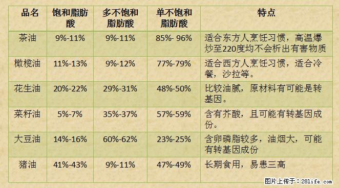 揭秘茶油的5大核心营养成分！被称为人体健康的“守护盾”！ - 抚顺生活资讯 - 抚顺28生活网 fushun.28life.net