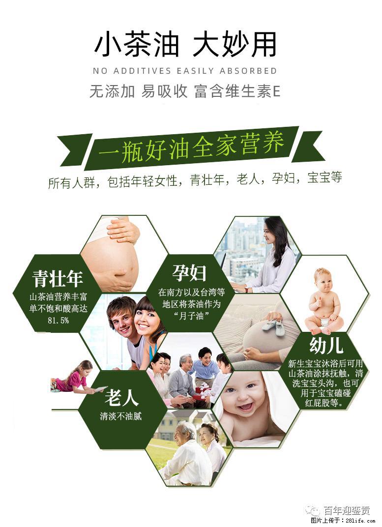 世界没有真相，只有认知，最好的食用油是中国的山茶油！ - 抚顺生活资讯 - 抚顺28生活网 fushun.28life.net