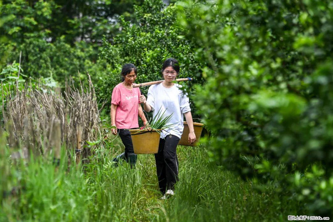 全网追的“扁担女孩”，找了一份暑假工，时薪12元 - 抚顺生活资讯 - 抚顺28生活网 fushun.28life.net