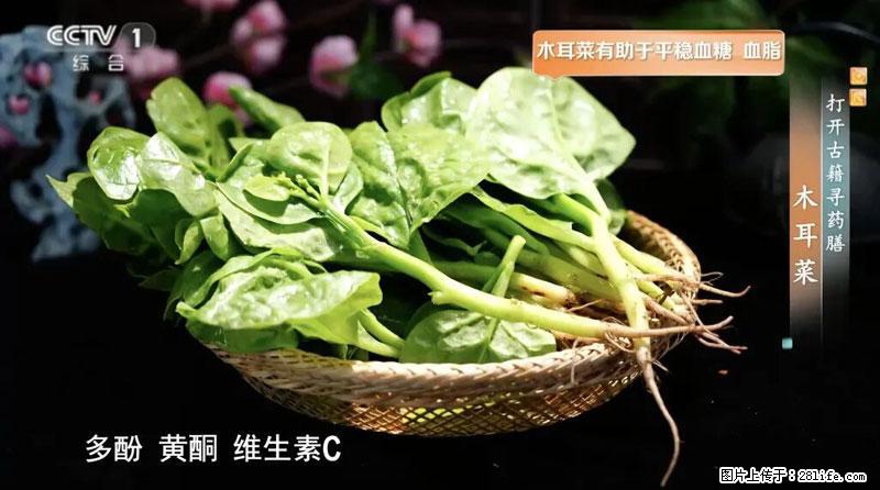 比牛奶补钙还厉害！凉血解毒、稳血糖...这菜冬天必吃，很多人却当草 - 抚顺生活资讯 - 抚顺28生活网 fushun.28life.net