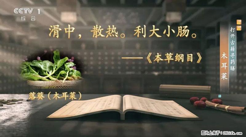 比牛奶补钙还厉害！凉血解毒、稳血糖...这菜冬天必吃，很多人却当草 - 抚顺生活资讯 - 抚顺28生活网 fushun.28life.net