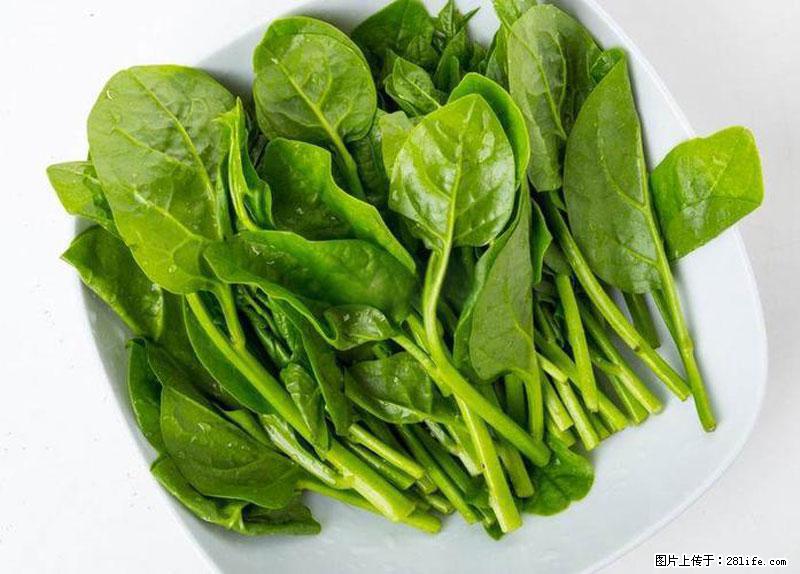 这些蔬菜是“天然钙片”,这6种被医生重点推荐 - 抚顺生活资讯 - 抚顺28生活网 fushun.28life.net