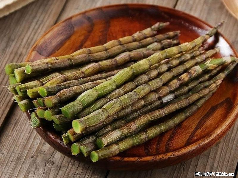 铁皮石斛的作用与功能主治 - 抚顺生活资讯 - 抚顺28生活网 fushun.28life.net