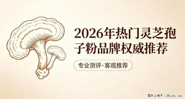 灵芝孢子粉含量越高越有效？2026 年七款热门品牌深度实测，肠胃敏感者避坑指南 - 抚顺生活资讯 - 抚顺28生活网 fushun.28life.net